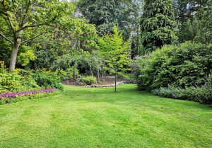 Optimiser l'expérience du jardin à Elbeuf-en-Bray